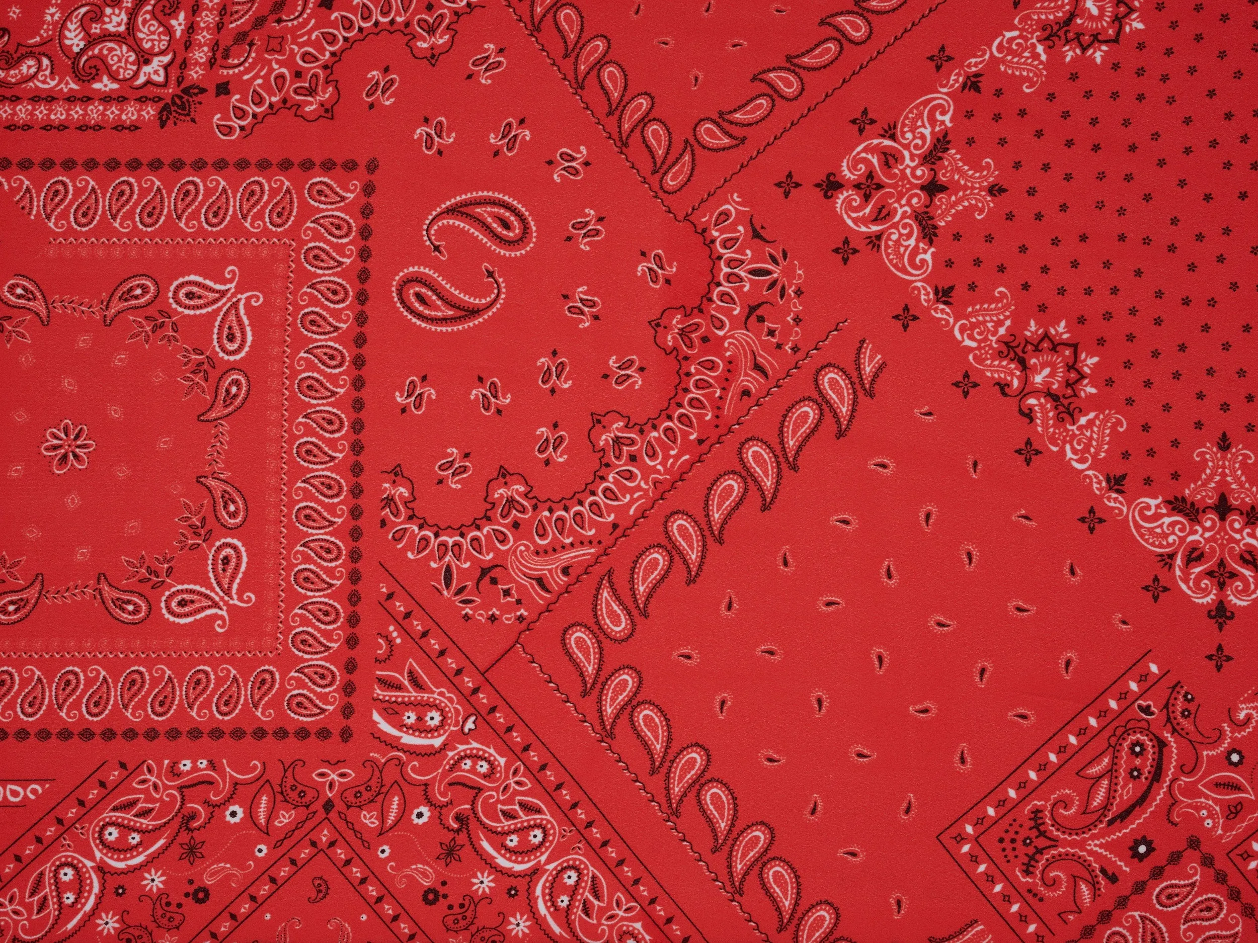 Bandana paisley  pattern - georgette  fabric by the yard