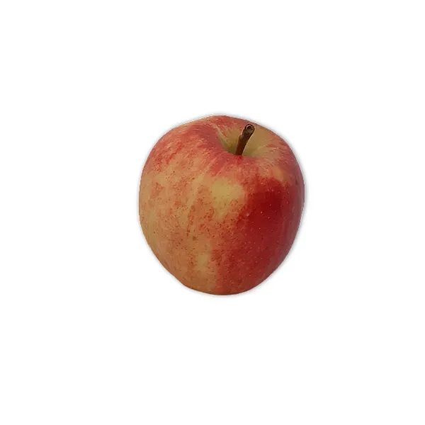 Royal Gala Apple Each