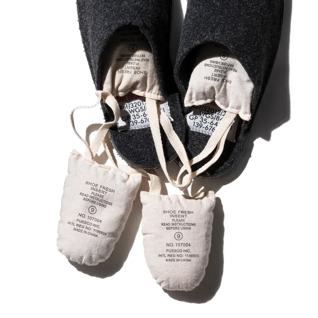 SHOE FRESH INSERT